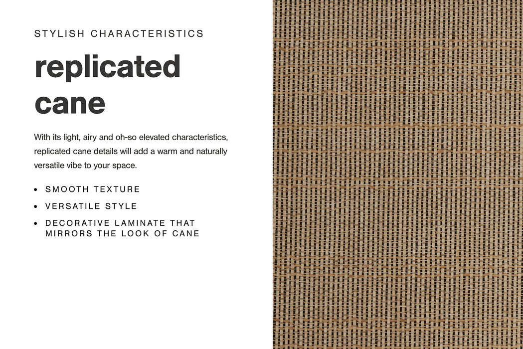 Cielden Queen Panel Bed with Mirrored Dresser and Nightstand